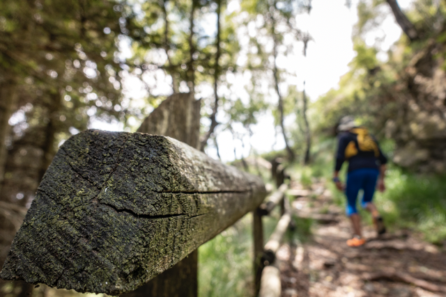 trekking