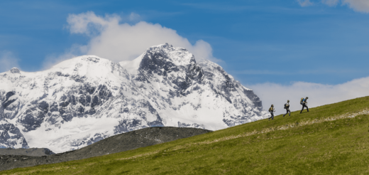 Il Cammino di Ermenegildo